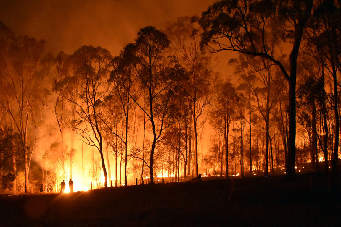Planning for Bushfire Prone Areas
