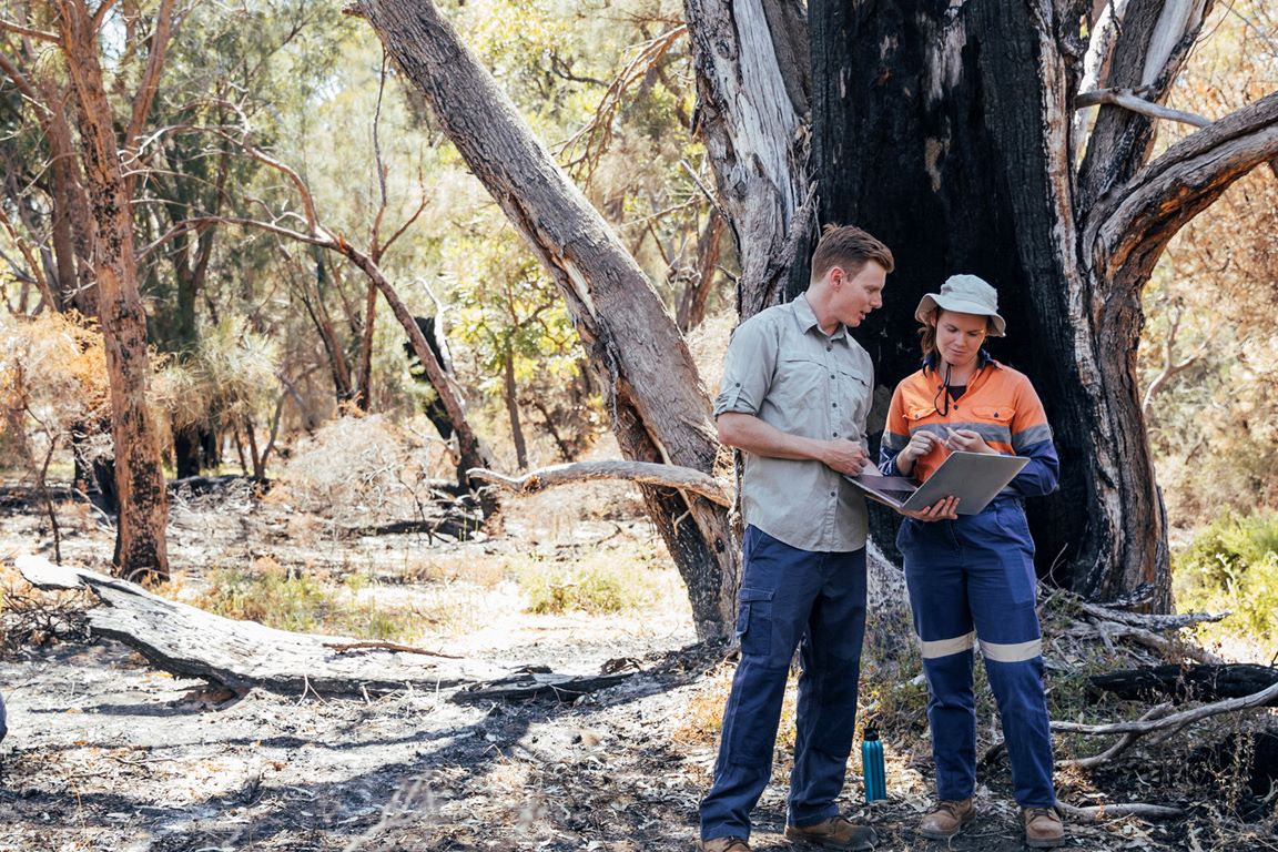 Analysing COVID-19 and bushfire impacts in LGAs (NSW)