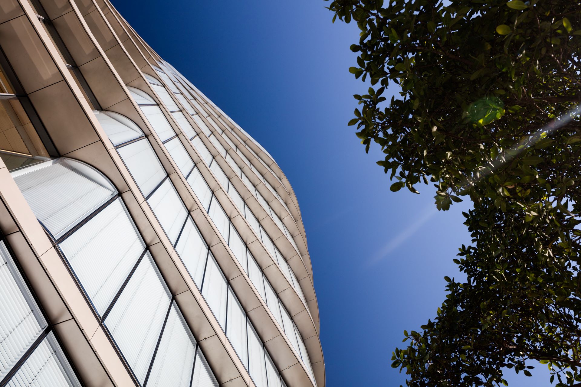 Strategic Planning UTS Open